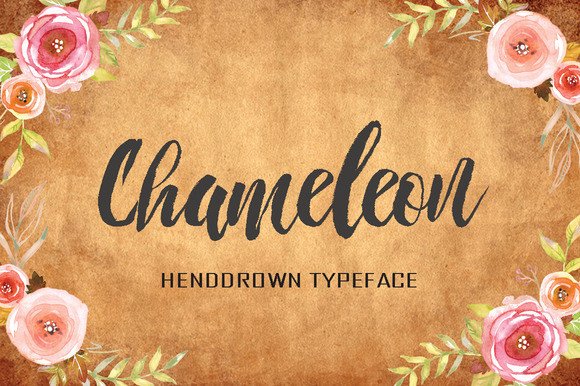 Chameleon: A Hand-Drawn Script Typeface for Editorial Elegance