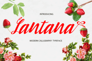 Lantana: A Modern Script Font That Elevates Digital Branding