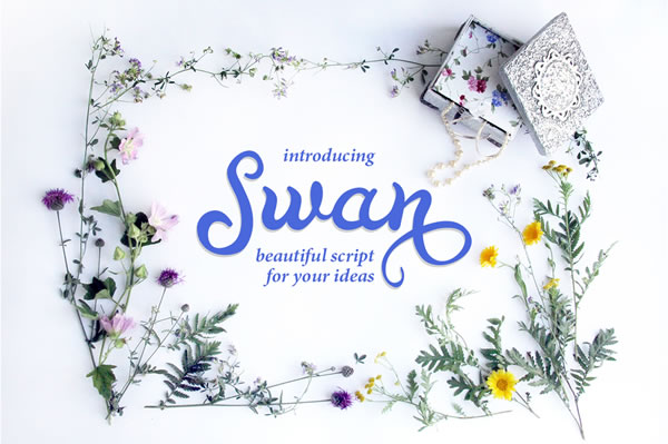 Swan: A Handwritten Font That Elevates Real Small Business Branding