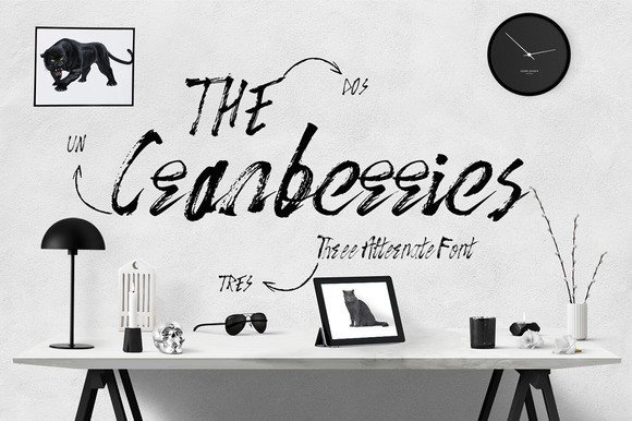 The Cranberries Font: A Script Amp Display Typeface for Campaign Charm