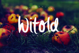 Witold: A Hand-Brushed Script Font for Modern Web Design